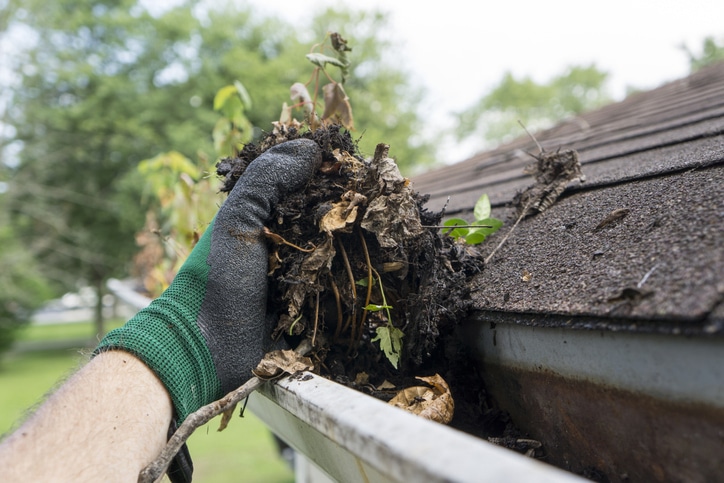 Roof And Gutter Cleaning