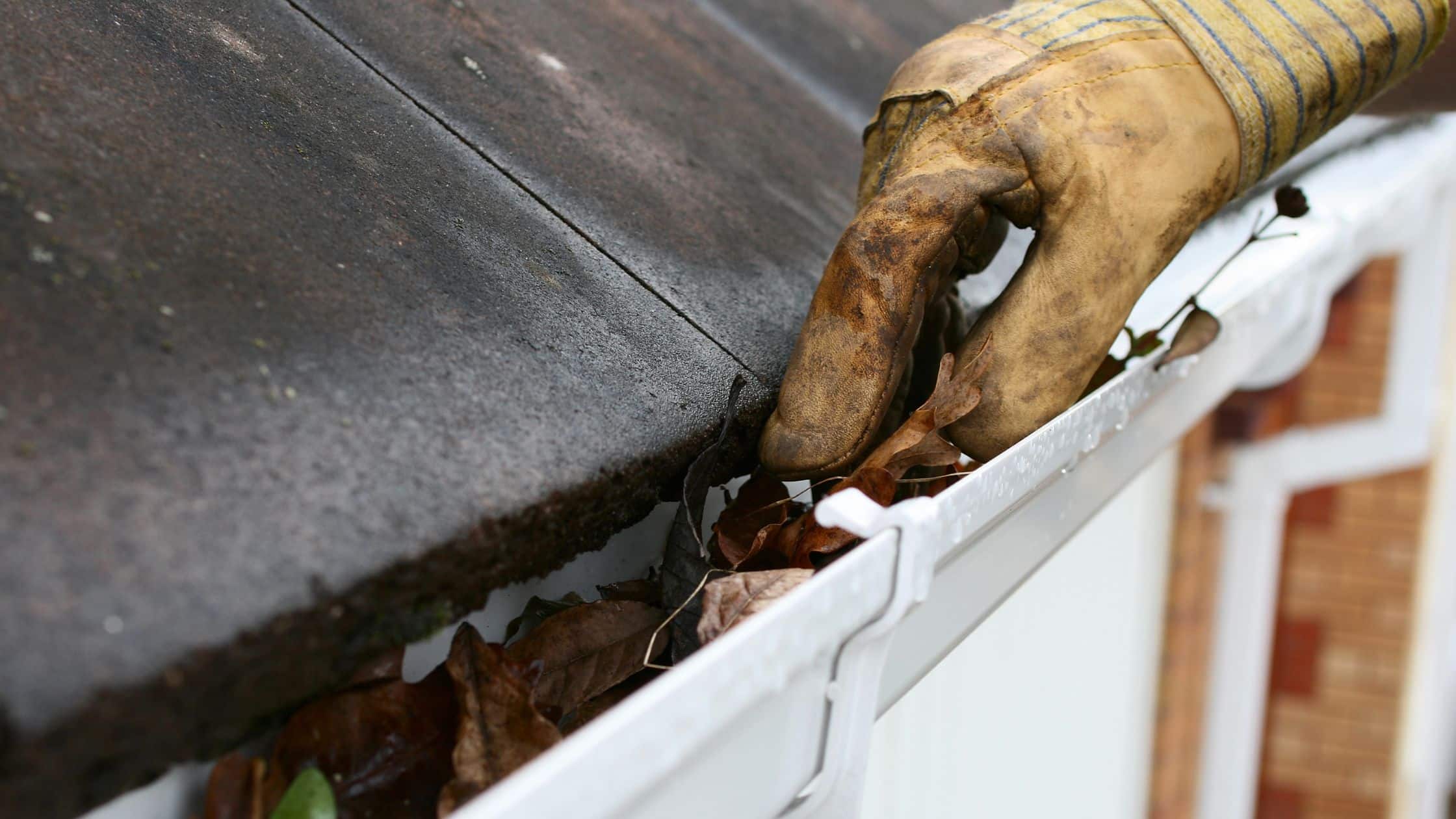 gutter cleaning